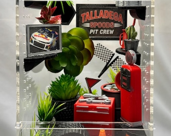Talladega Pit Crew Spider Enclosure: Racing Track Theme, Acrylic Habitat (4x4x8 inches)