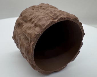 Bark Hide for Jumping Spider Enclosure