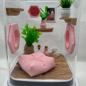 Accessory Pack for Pink Paradise jumping spider enclosure