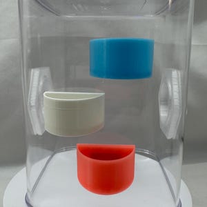 Jumping spider feeding dish, accessories