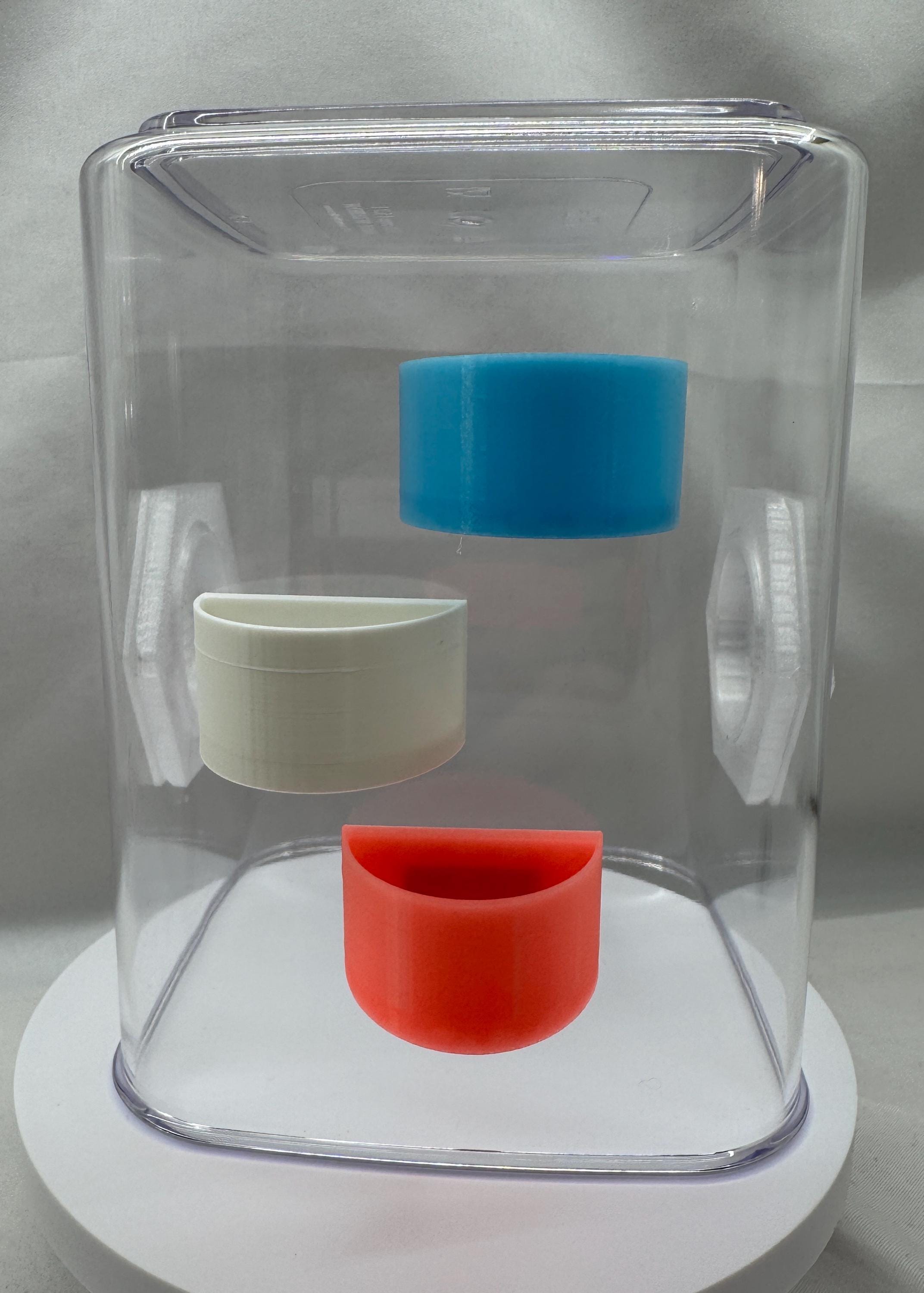Jumping spider feeding dish, accessories