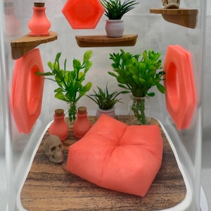 Coral Cove Glow jumping spider enclosure, pet house, home