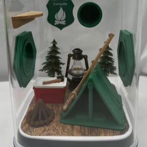 Gehege für Springspinnen beim Campingausflug – Maßgefertigtes Terrarium für Springspinnen und Spinnentiere