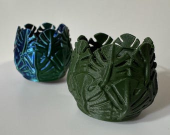 Leaf Hide for Jumping Spider Enclosure: Accessories