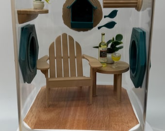 Recinto decorado para arañas saltadoras: terrario acrílico para observación de aves