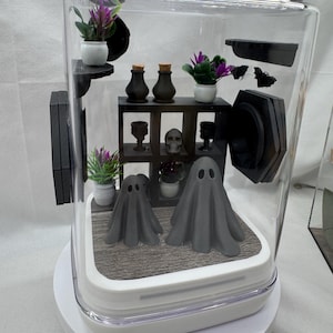 Accessory Pack for The Haunted  Ghost Mansion jumping spider enclosure