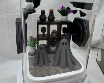 Paquete de accesorios para el recinto de arañas saltarinas de The Haunted Ghost Mansion