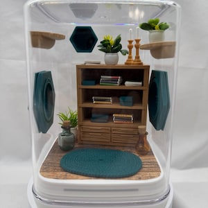 The spider study jumping spider enclosure