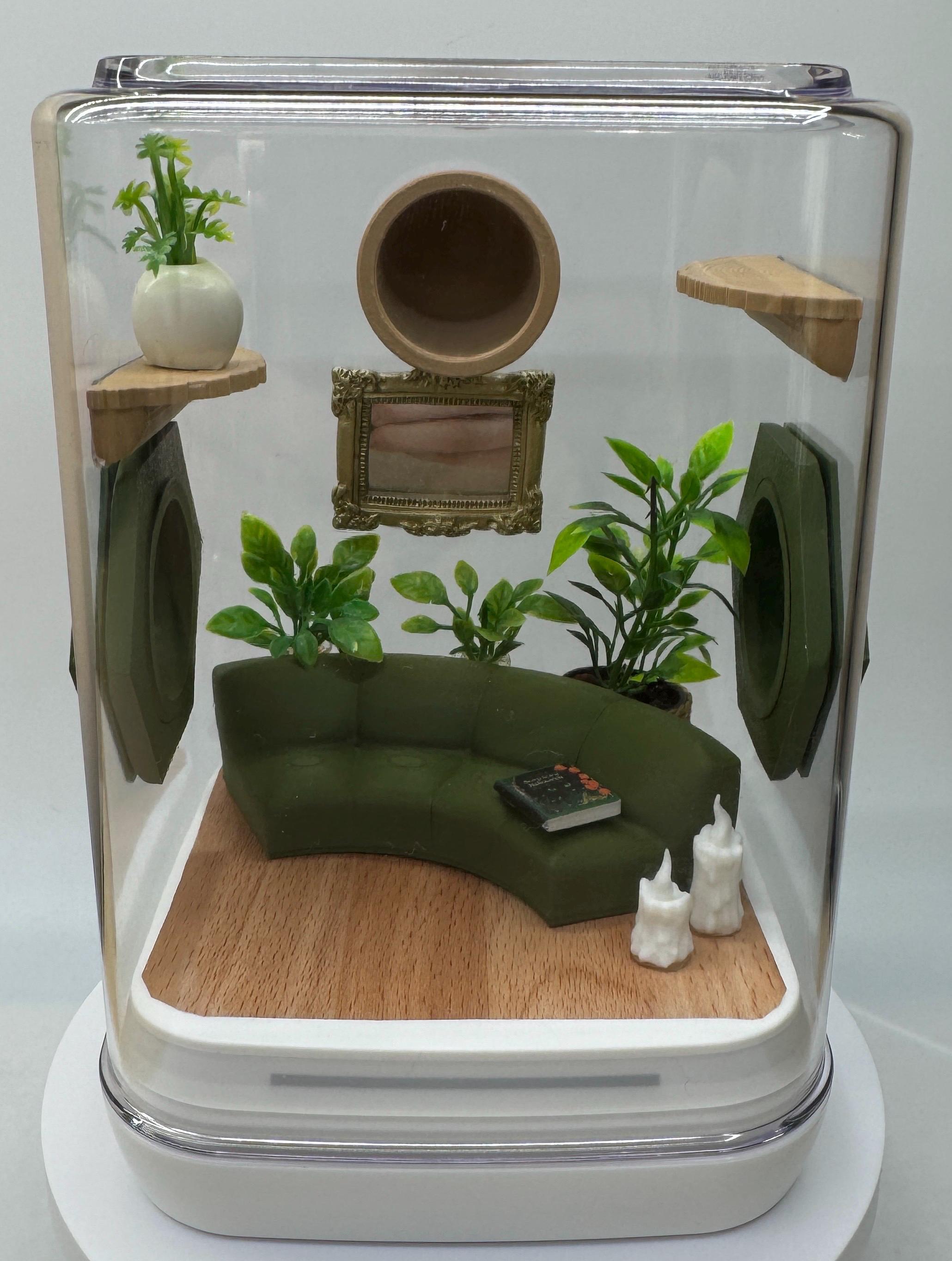 The Comfy Couch Jumping Spider Enclosure - Etsy
