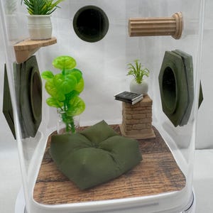 Accessory Pack for Jumping spiders,  enclosure decorations, Olive Nook
