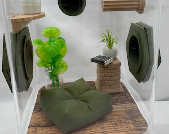 Paquete de accesorios para arañas saltadoras, decoraciones para recintos, Olive Nook