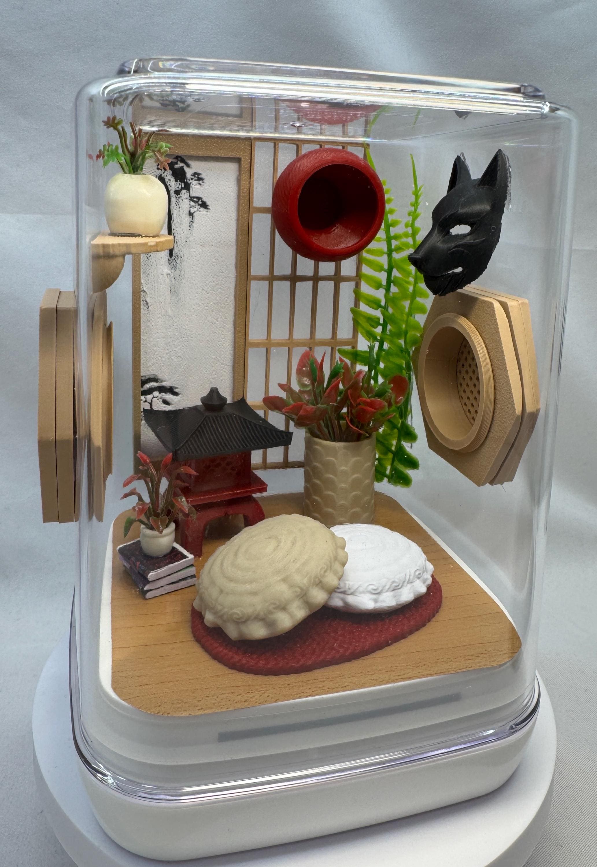 Japan Inspired Jumping Spider Enclosure, Terrarium, Acrylic, Home