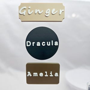 Personalized name tag, Magnetic, customizable, for spider and reptile enclosures.