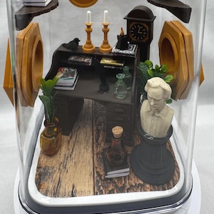 Accessory pack for the Edgar Allan Poe Jumping Spider Enclosure/ decor/ Accessories image 1
