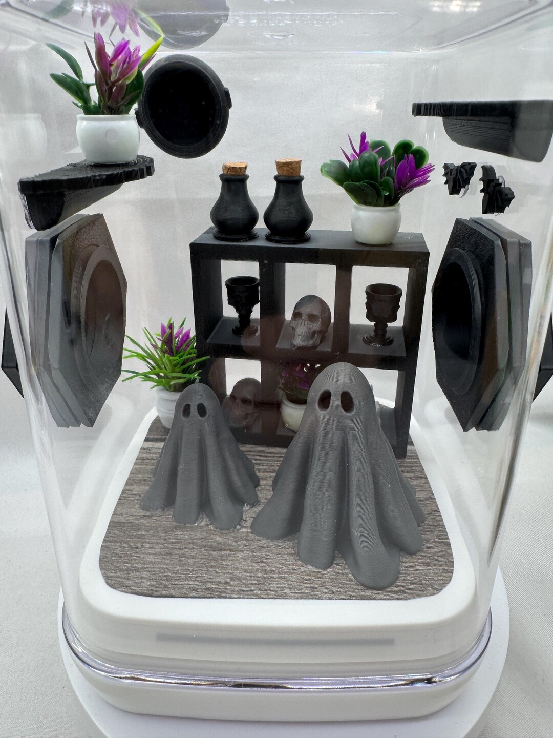 Jumping Spider Enclosure, Haunted Ghost Mansion, Spooky Decor