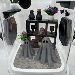 Jumping Spider Enclosure, Haunted Ghost Mansion, Spooky Decor, Acrylic, 3D Printed