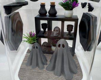 Jumping Spider Enclosure, Haunted Ghost Mansion, Spooky Decor, Acrylic, 3D Printed