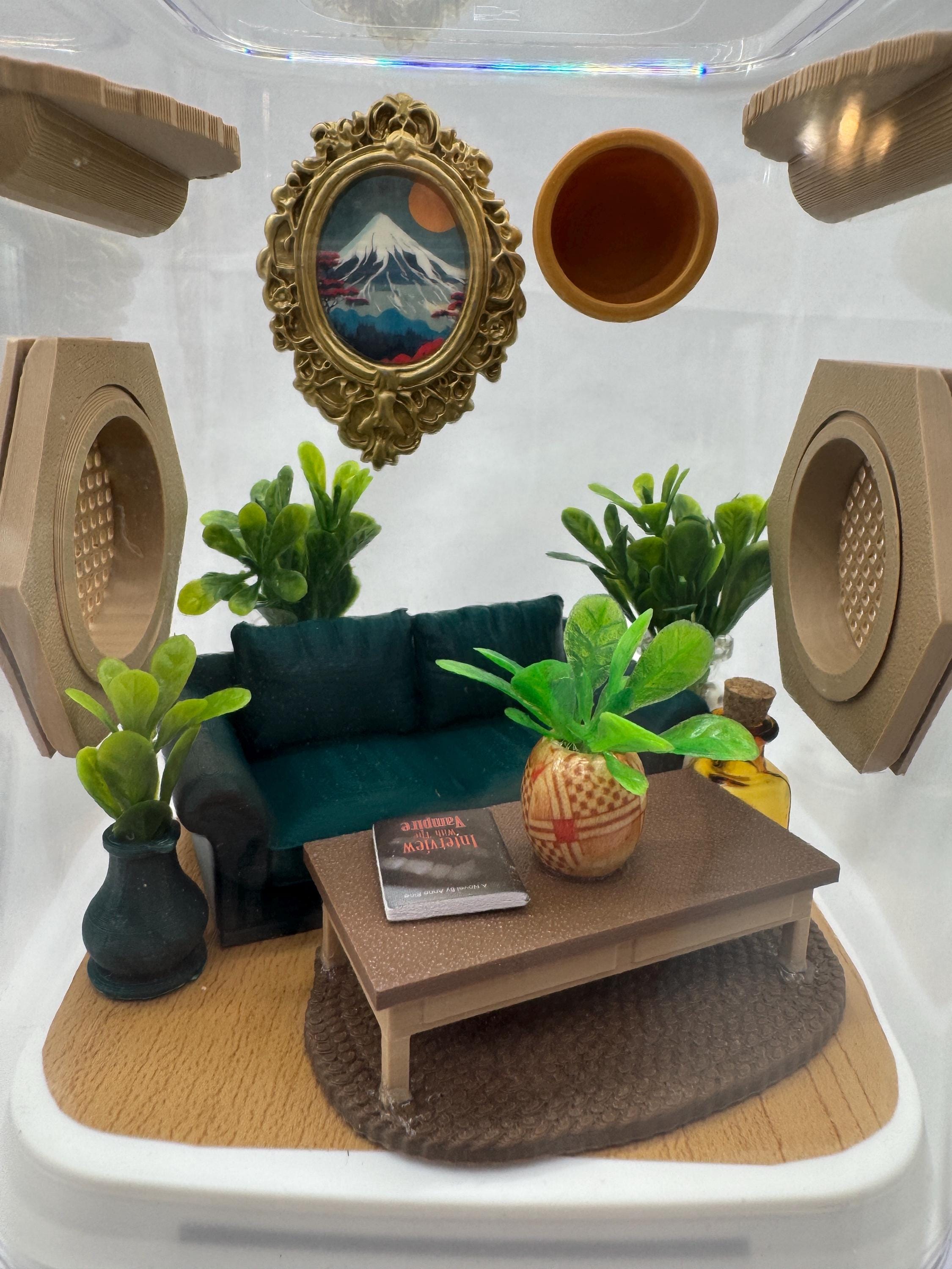 Decorated Jumping Spider Enclosure: Acrylic Living Room Terrarium