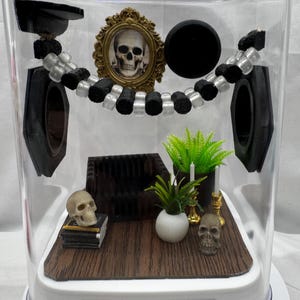 Spooky Study jumping spider enclosure, bridge, glow, terrarium, cute