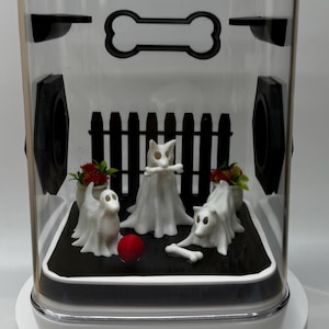 Dekorerad hoppspindelbur: Ghost Dogs akrylterrarium (12x12x18 cm)