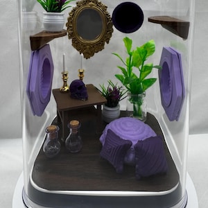 Paquete de accesorios para arañas saltarinas: Paquete de accesorios de recinto morado, decoraciones para terrario