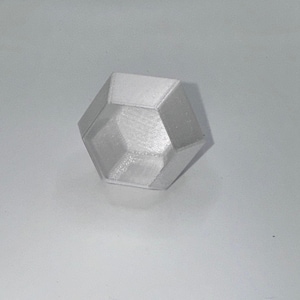 Hexagon Jumping Spider Hide