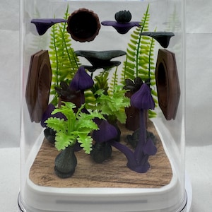 Rainforest-Themed Jumping Spider Enclosure, Decorated Pet House, Habitat, Custom Spider Hide, Terrarium Accessories