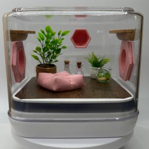 Miniaturowe różowe ogrodzenie dla pająków skaczących