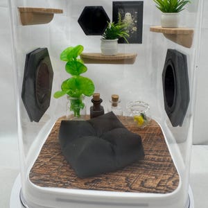 Jumping Spider Enclosure, Arboreal Spider Habitat, Small Terrarium for Spiders