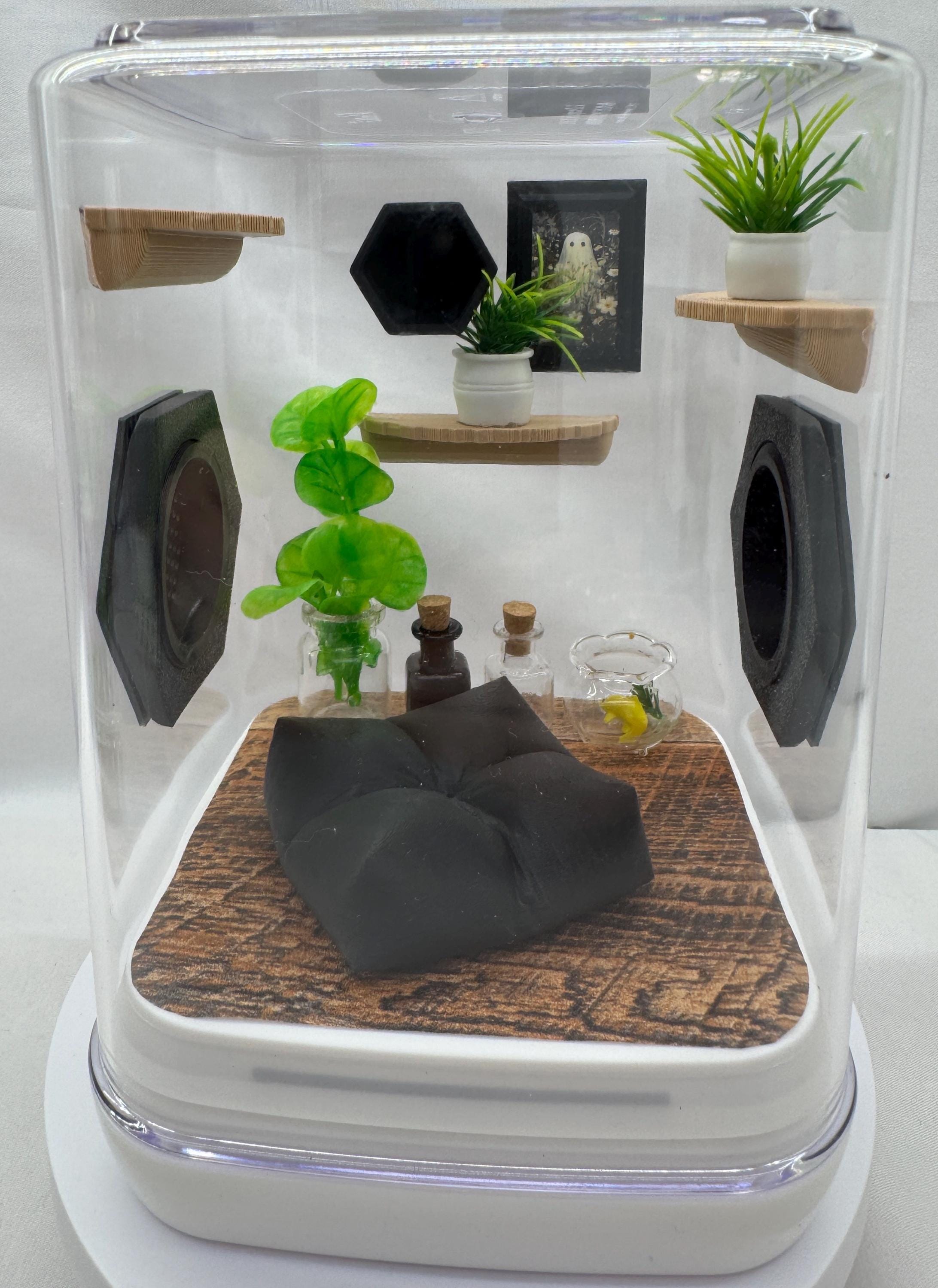 Small Terrarium For Spiders Reptiles Jumping Spider Enclosure, Jumping ...