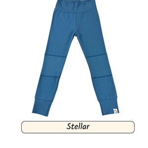Può includere: Leggings blu con toppe rinforzate sulle ginocchia e una fascia in vita aderente. La parola "Stellar" è visualizzata in un riquadro rettangolare nella parte inferiore dell'immagine. I leggings hanno un piccolo logo sulla caviglia.