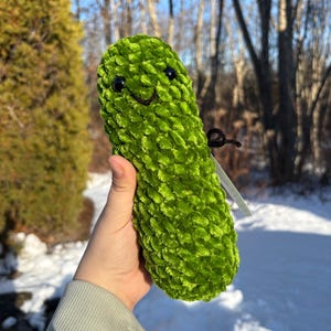 Emotional Support Pickle Crochet Plushie