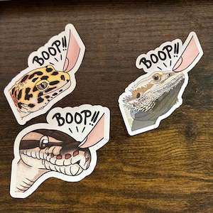 May include: Three stickers featuring a leopard gecko, a bearded dragon, and a snake, each with a pink finger pointing at them and the word "BOOP!" above the finger.