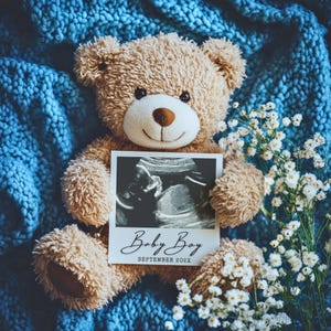 Annuncio di gravidanza digitale It's a Boy, rivelazione del sesso del bambino, rivelazione sui social media del fratellino, modello modificabile per l'annuncio di nascita