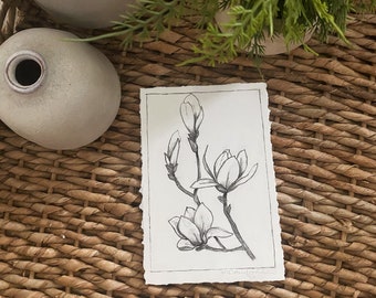 Hand-drawn Magnolia Flowers In Charcoal | Floral Artwork | Blossum | Delicate | Botanical Sketch | Deckled Edge Paper | Nature Lover Gift