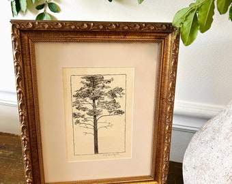 Framed Original Lodepole Pine In Charcoal | Redwood Etching | Muir Woods | Woodland Illustration | Tall Pine Trees | Signed Artwork