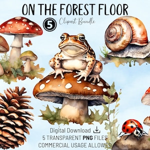 Bundle de cliparts sur le sol de la forêt, Forest Goblincore, champignon vénéneux PNG, aquarelle PNG transparent, travaux manuels, cartes, albums de coupures, journaux, POD