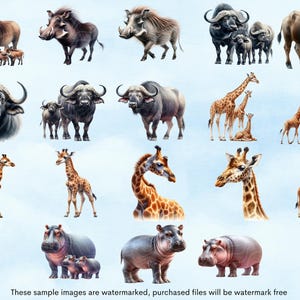 May include: A digital illustration of various African animals, including giraffes, hippos, warthogs, and buffalo. The animals are depicted in a watercolor style against a light blue background.