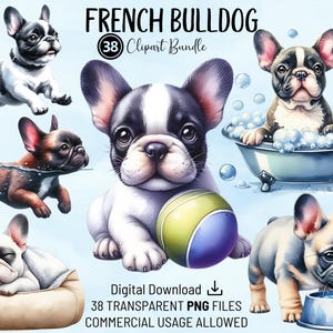 Pacote de clipart de buldogue francês - Arte digital para artesanato, criação de conteúdo, adesivos e convites | Ilustrações de alta qualidade para amantes de animais de estimação