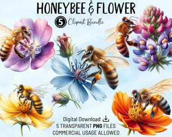 Honeybee & Flower Clipart Bundle: Commercial Use PNG (Digital Download)