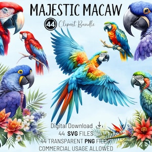 Buntes majestätisches Ara Papagei Clipart Bundle - PNG & SVG für Karten, Einladungen, Kunsthandwerk | Sofortdownload | Lebendige tropische Designs