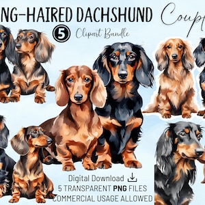 Langhaar Dackel Paare Clipart Bundle | Aquarell Transparent PNG | Kommerzielle Nutzung | Perfekt für Karten, Scrapbooking & Einladungen