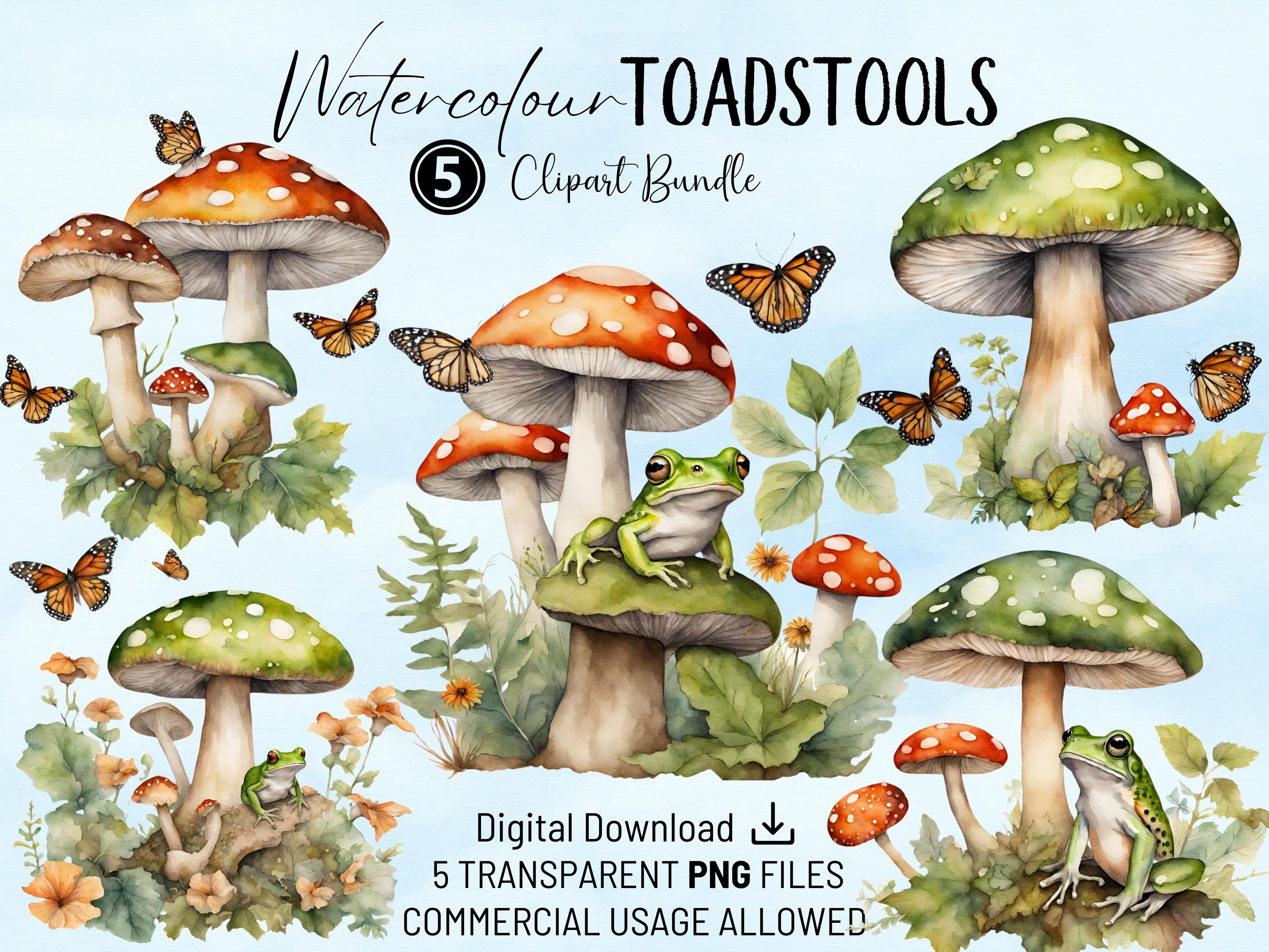 Watercolour Toadstools Clipart Bundle | Watercolor Mushroom PNGs | Commercial Use | Craft, Cards, Scrapbooking, Party Invites, POD Designs