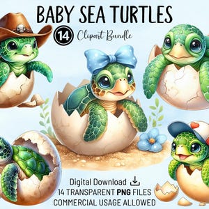 Paquete de imágenes prediseñadas de tortugas marinas bebés, tortugas marinas de guardería, PNG de alta calidad, imágenes prediseñadas de acuarela imprimibles, descarga digital, manualidades, invitaciones