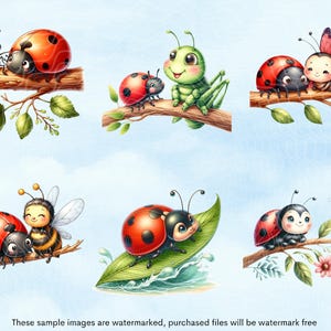 May include: A set of six digital illustrations featuring cute cartoon ladybugs, bees, butterflies, and a grasshopper. The illustrations are in a whimsical style and are perfect for use in children's books, greeting cards, or other creative projects.