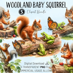 Pacchetto di clipart Woodland Baby scoiattolo, acquerello uso commerciale PNG trasparente, per carte, pagine di album, inviti per feste, arte della scuola materna