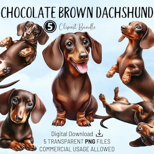 Chocolate Brown Dachshund Clipart Bundle - Watercolor PNGs for Crafts & Cards, Invitations, Web Design, Commercial Use