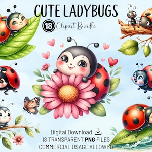 Niedliches Marienkäfer Clipart-Bundle, bunte Kinderzimmer Marienkäfer, hochwertige PNGs, druckbare Aquarell Clipart, digitaler Download, Kunsthandwerk