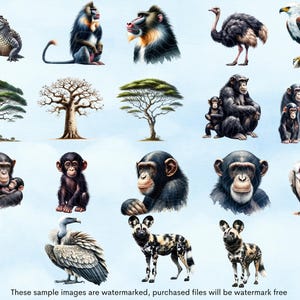 May include: A digital illustration of various animals, including a crocodile, mandrill, ostrich, eagle, chimpanzee, and vulture. The animals are depicted in a cartoon style with bright colors and detailed features.