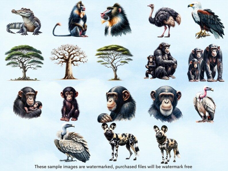 May include: A digital illustration of various animals, including a crocodile, mandrill, ostrich, eagle, chimpanzee, and vulture. The animals are depicted in a cartoon style with bright colors and detailed features.